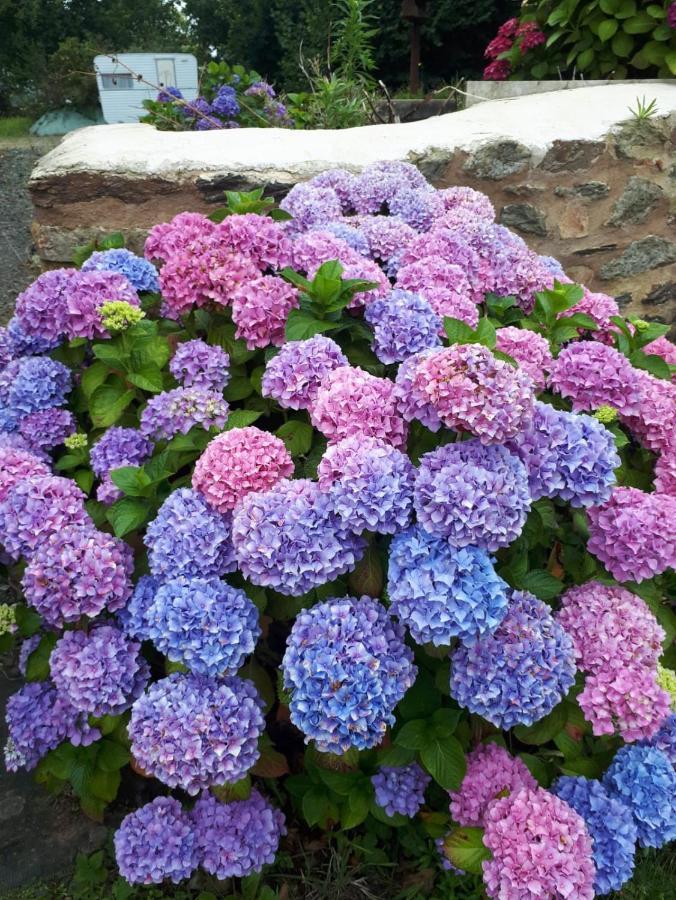 فيلا Manoir De Parc Ar Brun Tréguier المظهر الخارجي الصورة