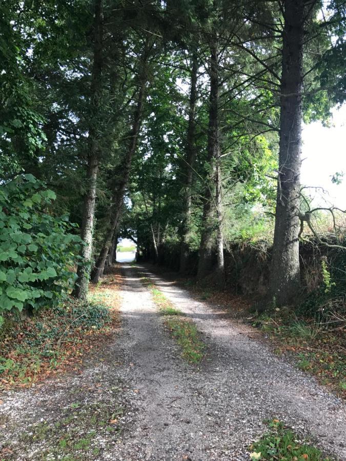 فيلا Manoir De Parc Ar Brun Tréguier المظهر الخارجي الصورة