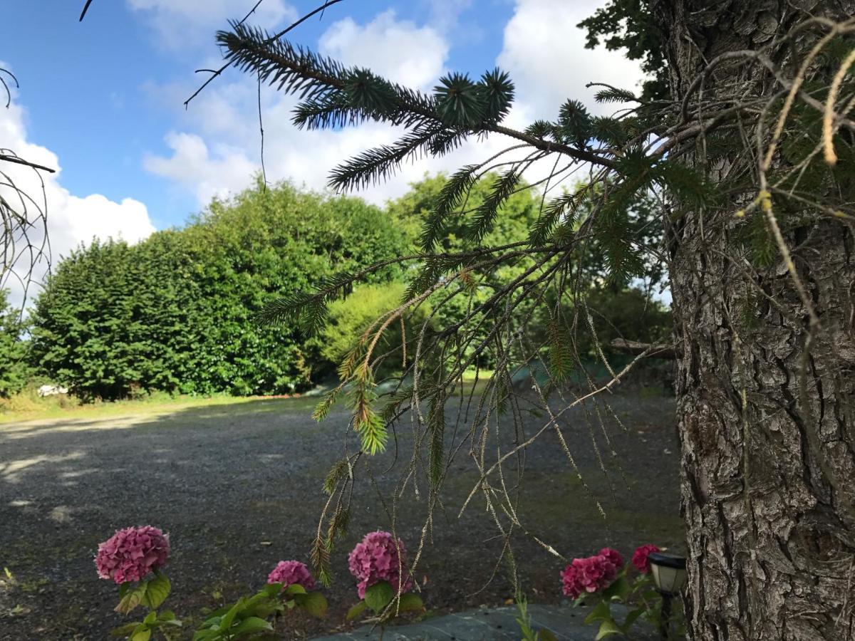 فيلا Manoir De Parc Ar Brun Tréguier المظهر الخارجي الصورة